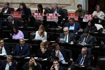 Diputados se reúnen para debatir el veto del presidente Javier Milei a un proyecto de ley para ampliar las protecciones para las personas con discapacidad en Buenos Aires, Argentina, el miércoles 20 de agosto de 2025. (Foto AP/Natacha Pisarenko)
