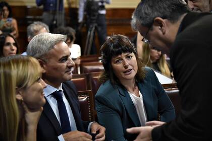 Diputados y senadores de UP en la comisión bicameral por los DNU