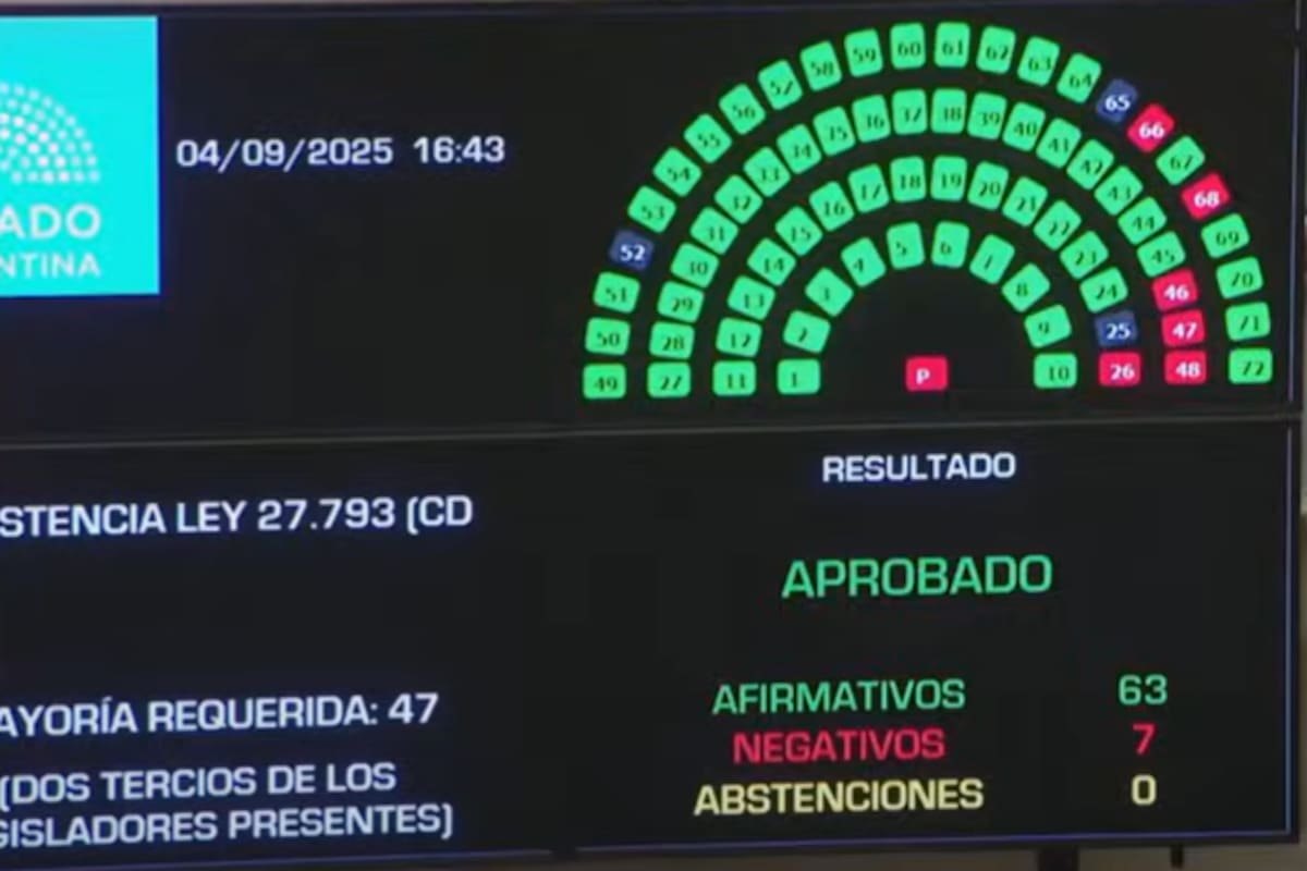 Discapacidad: el Senado rechazó el veto y Milei deberá promulgar la ley