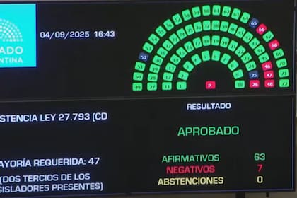 Discapacidad: el Senado rechazó el veto y Milei deberá promulgar la ley