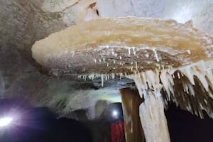 Disco o escudo de grandes dimensiones en la Cueva de las Estegamitas (La Araña, Málaga)