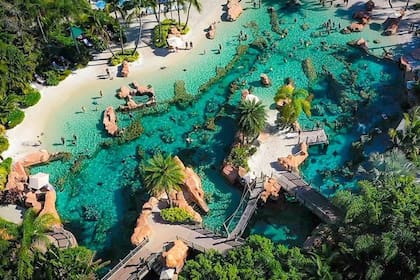 Discovery Cove, el all inclusive de Orlando que no necesita habitaciones
