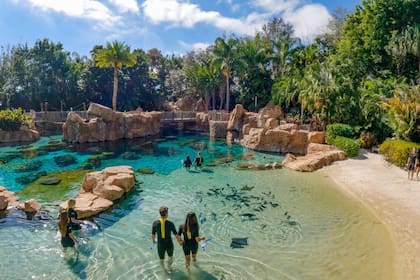 Discovery Cove se encuentra cerca del emblemático SeaWorld, en plena de zona de parques de Orlando