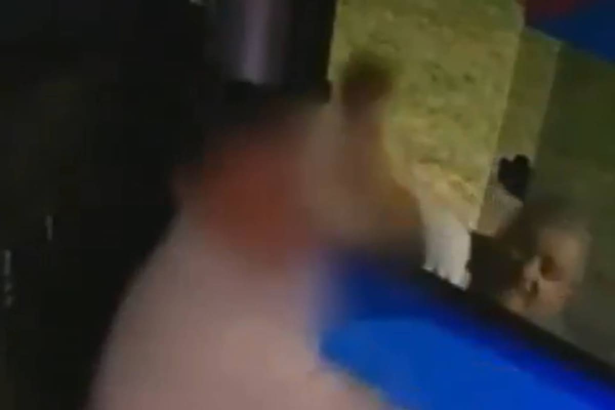 Discutió con un colectivero y fue a buscarlo, pero se confundió y le pegó a otro chofer.