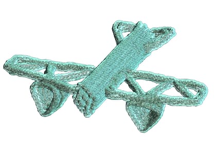 Diseño "avión" de robot de ADN que se fabrica en minutos