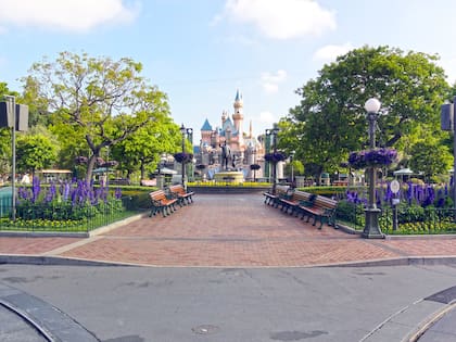 Disney sigue teniendo una alta demanda de parte de los argentinos