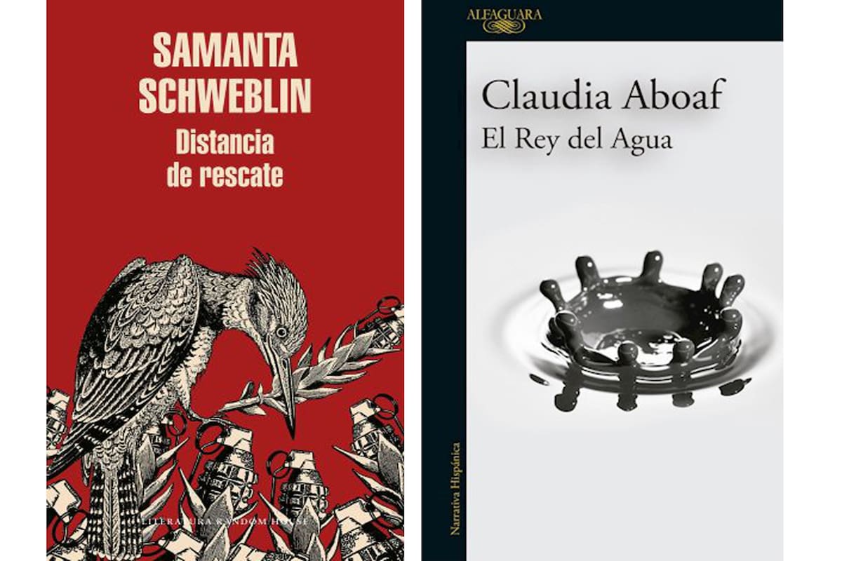 distancia de rescate y el rey del agua, tapas de libros