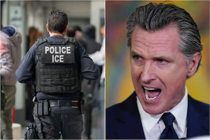 Distintas organizaciones de California implementan medidas para proteger a los inmigrantes frente a las redadas migratorias