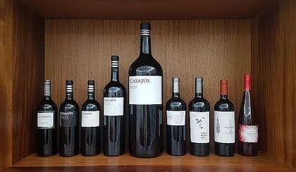 Distintos tamaños de botellas