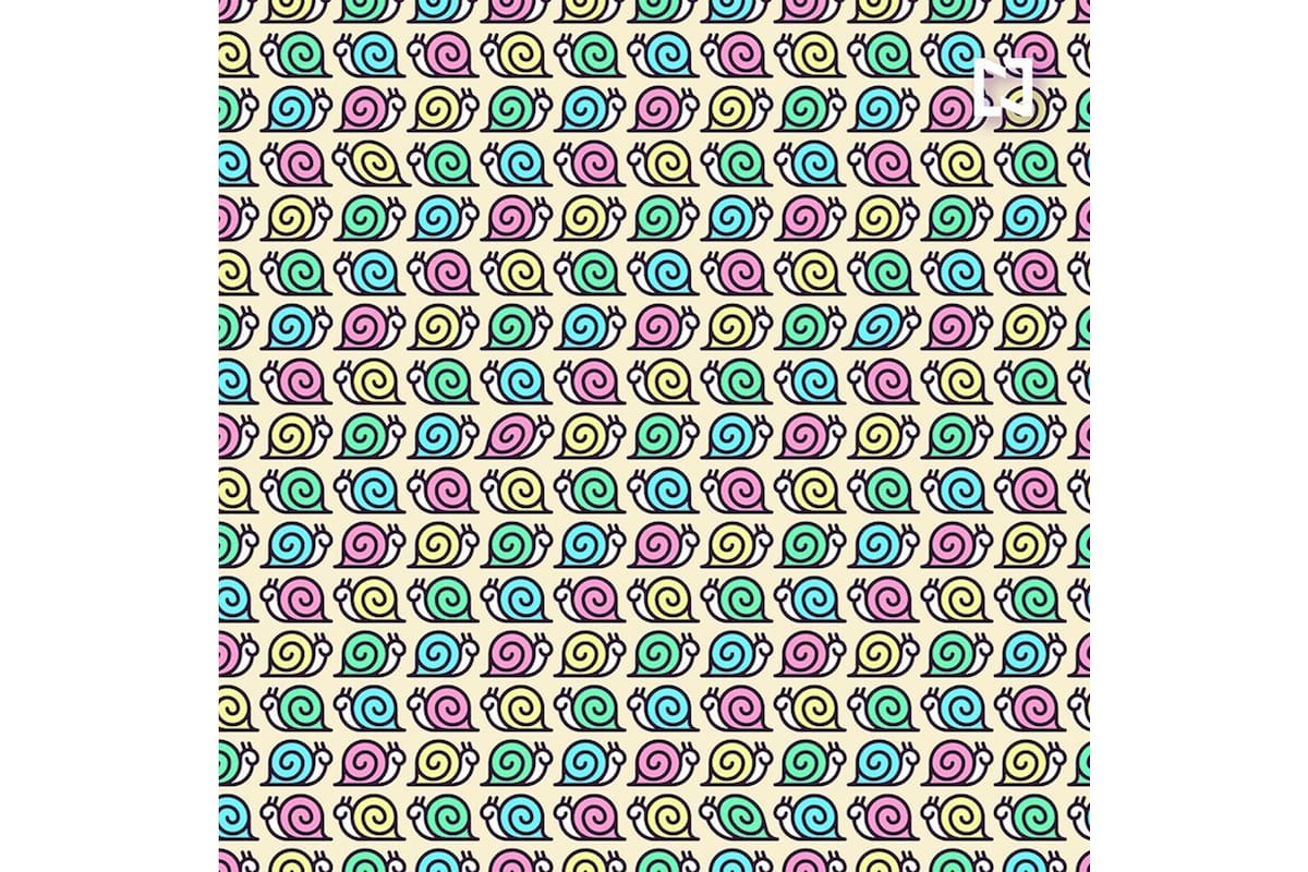 Distribuidos en la imagen, hay cuatro caracoles que van más rápido que los demás