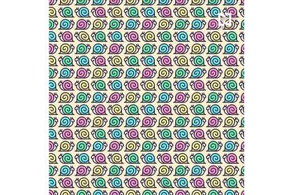 Distribuidos en la imagen, hay cuatro caracoles que van más rápido que los demás