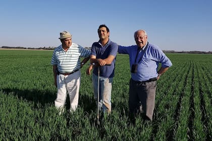 Jorge Ossana, productor e ingeniero agrónomo, Marco Ossana, productor e hijo de Jorge y Hernán Otamendi productor e ingeniero agrònomo