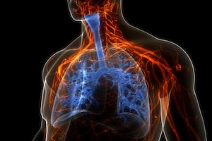 La fruta que ayuda a combatir resfríos y a limpiar los pulmones