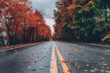 Diversos reportes afirman que el clima húmedo y fresco que caracteriza el otoño tardará en llegar este 2024