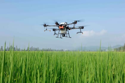 DJI busca impulsar su línea de drones agricultores para optimizar los procesos de fumigación y monitoreo de cultivos