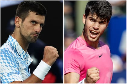 Djokovic, Alcaraz y una lucha sin cuartel por el primer puesto del ranking