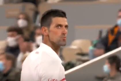 Djokovic se cruzó en la tribuna con un fan de Federer que festejó un error suyo