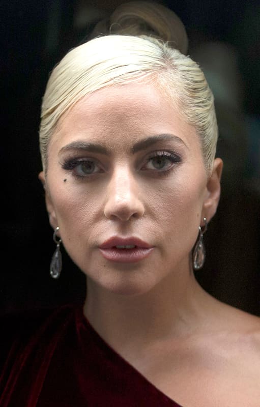 Doble nominada al Oscar por su actuación y la música en "Nace una estrella", Gaga ha cambiado de piel más veces en sus pocos años de carrera que muchos artistas en décadas