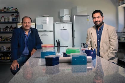 Docena y Azzara, de la UNLP, están en la última etapa preclínica.