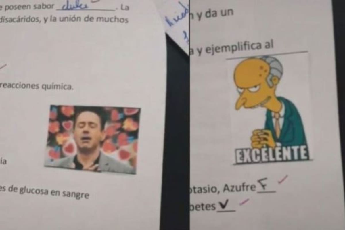Docente viral: Daiana Amores, de 25 años, decidió reemplazar el tradicional método de calificaciones y cambió los números por memes