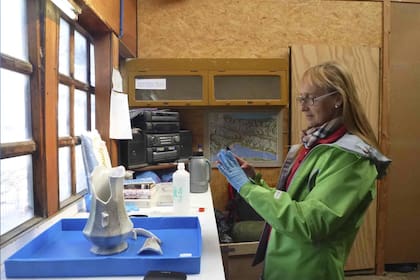 Documentando materiales arqueológicos en el Museo del Fin del Mundo, en Tierra del Fuego.