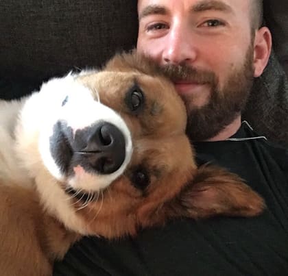 Dodger y Chris Evans son los mejores amigos
