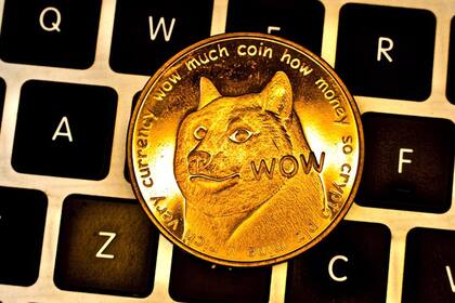 "Doge" es un meme de un perro japonés que se hizo viral en 2013, cuando nació el dogecoin. (Foto: Alamy).