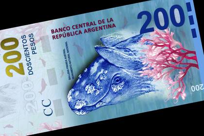 Las alternativas de inversiones en pesos empiezan a ser más riesgosas a medidas que pasan los meses y el tipo de cambio acumula meses de retraso