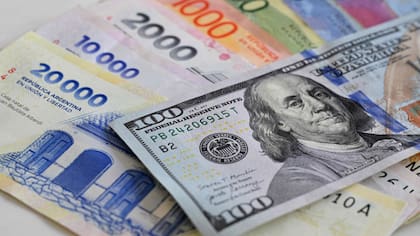 Dólar hoy y dólar blue hoy, precio en vivo: a cuánto cotizan este martes 31 de marzo