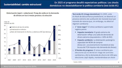Dolarización en las elecciones de 2025, según el BCRA