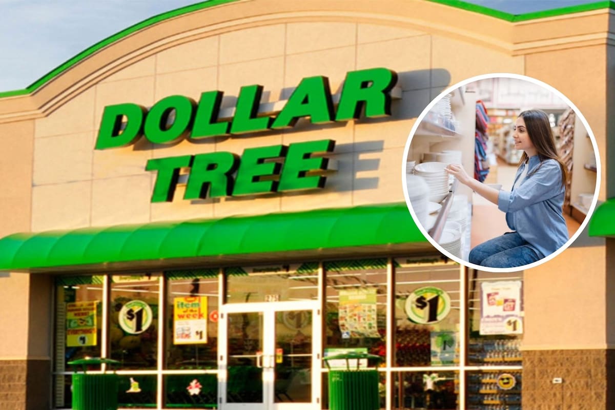Dollar Tree ofrece piezas de vajilla casi iguales a las de Dillard's a tan solo US$1,25 cada una