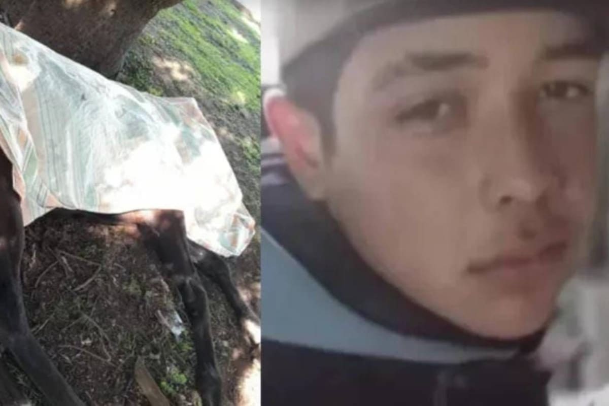 Dolor en La Plata: un joven jinete de 18 años murió tras caer de su caballo.