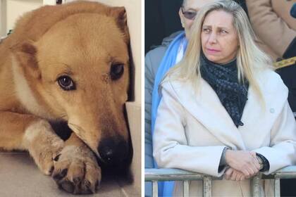 Dominga, la perrita de Agricultura cuya historia conmovió a Karina Milei