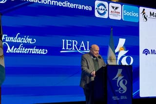 Cuál es el "régimen monetario que se necesita" en el país, según el exministro de Economía