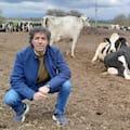 El exitoso modelo “multifunción” que creó un empresario que rompe moldes