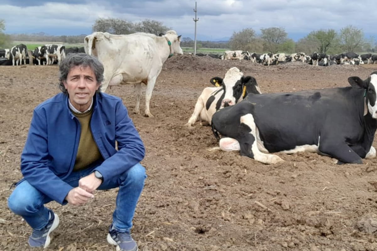Domingo Colombres administra junto con sus hermanos una empresa familiar de 1100 hectáreas en Trancas, al norte de Tucumán