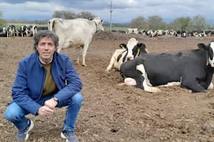 El exitoso modelo “multifunción” que creó un empresario que rompe moldes