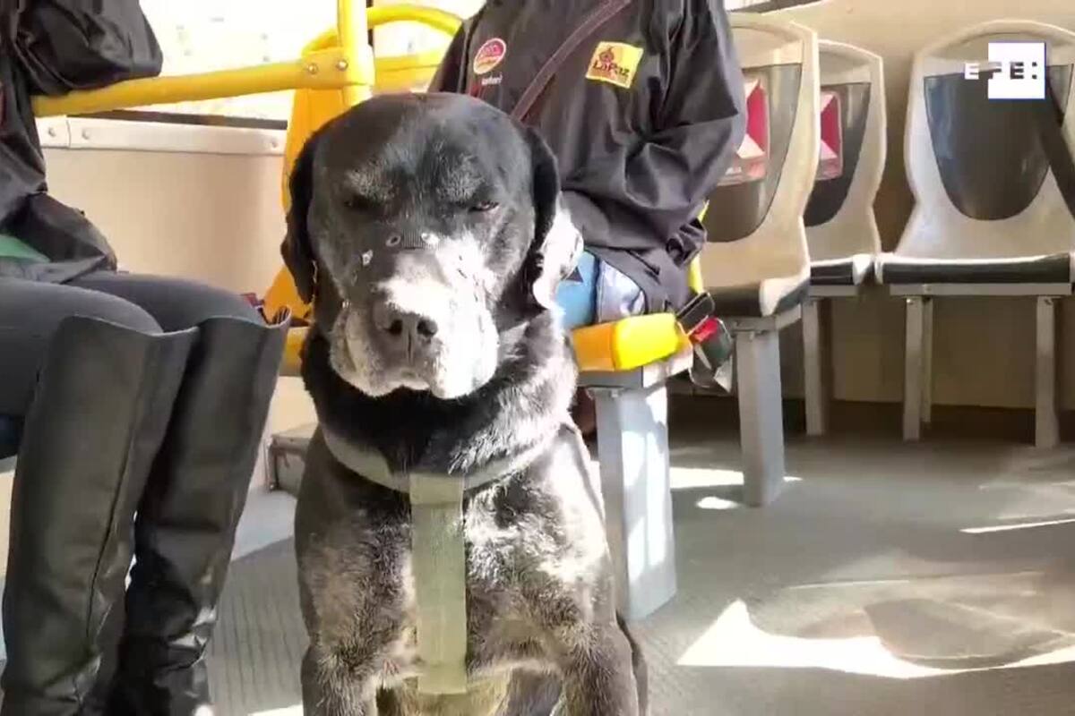 Don Alonso pasó de vivir en las calles a ser el consentido del Patio Caja Ferroviaria