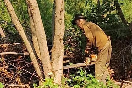 Don Ángel Reyes, un día antes de su fallecimiento, trabajando con la motosierra para armar un cortafuegos