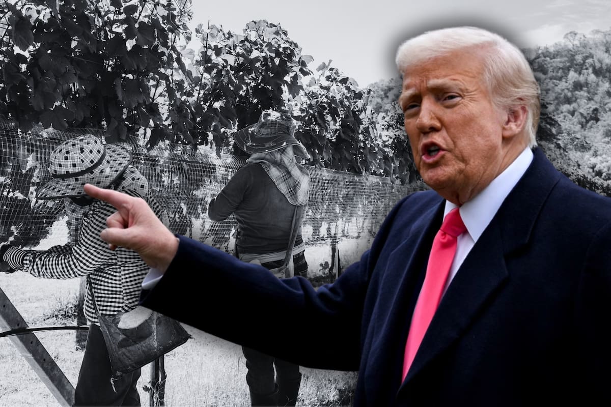 Donald Trump ahora sostiene que el gobierno federal trabaja en un "pase" para que los empleadores agrícolas no pierdan a los trabajadores que llevan años en sus campos de forma irregular