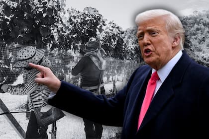Donald Trump ahora sostiene que el gobierno federal trabaja en un "pase" para que los empleadores agrícolas no pierdan a los trabajadores que llevan años en sus campos de forma irregular