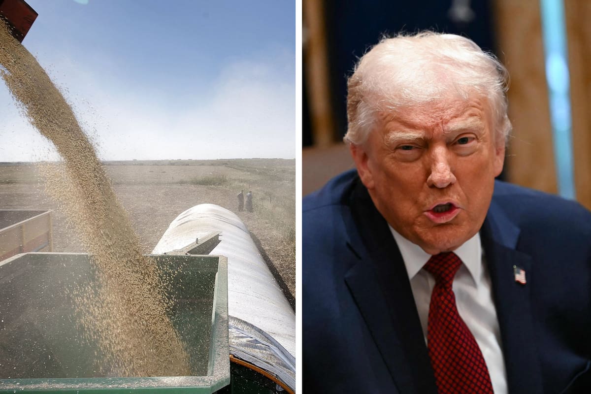 Donald Trump anunció un paquete de medidas para ayudar a los productores de su país