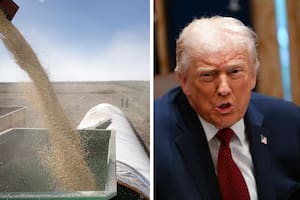 Donald Trump anunció un paquete de medidas para ayudar a los productores de su país