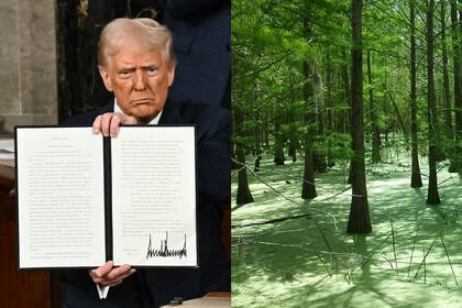 Donald Trump le cambiará el nombre al Refugio Nacional de Vida Silvestre Anahuac