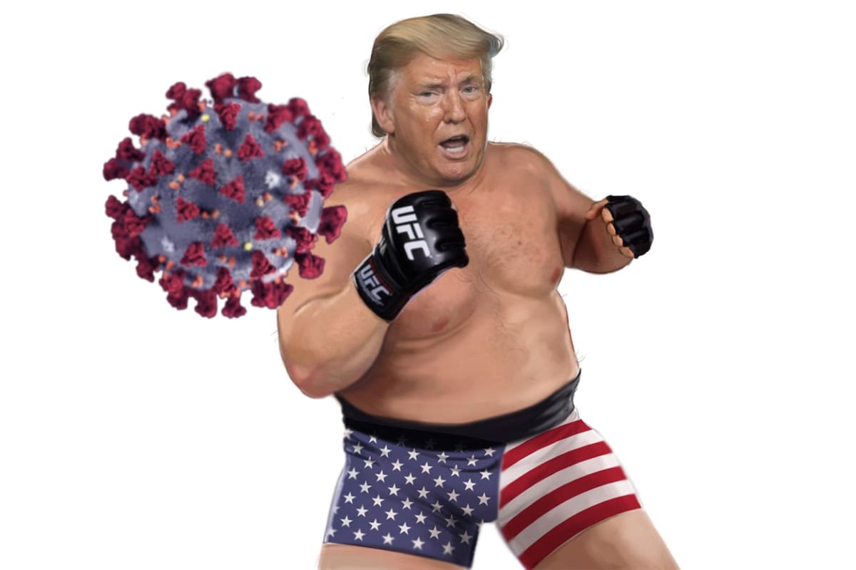 Donald Trump, presidente de los Estados Unidos