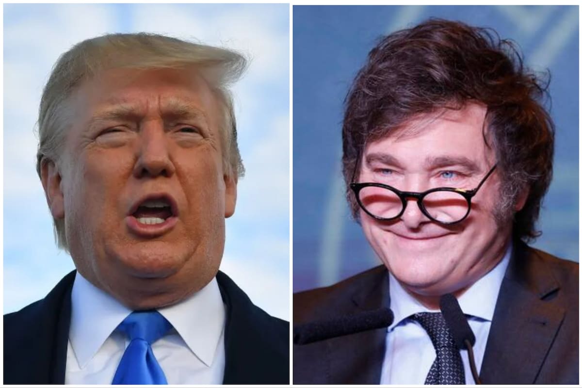 Donald Trump, presidente electo de Estados Unidos, y Javier Milei, presidente de la Argentina