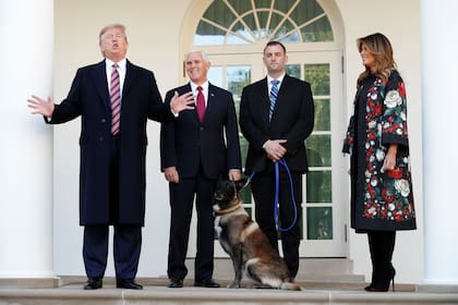 Donald Trump, recibió ayer en la Casa Blanca a Conan, el perro calificado como un héroe después de participar en el operativo de captura que terminó en la muerte del líder del Estado Islámico (EI), Abu Bakr al Bagdadi.