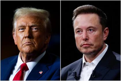 Donald Trump y Elon Musk darán una conferencia de prensa este viernes desde la Casa Blanca