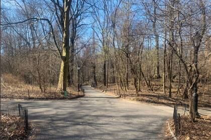 Donde antes se aglomeraban las multitudes hoy reina la tranquilidad.