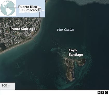Dónde está Cayo Santiago